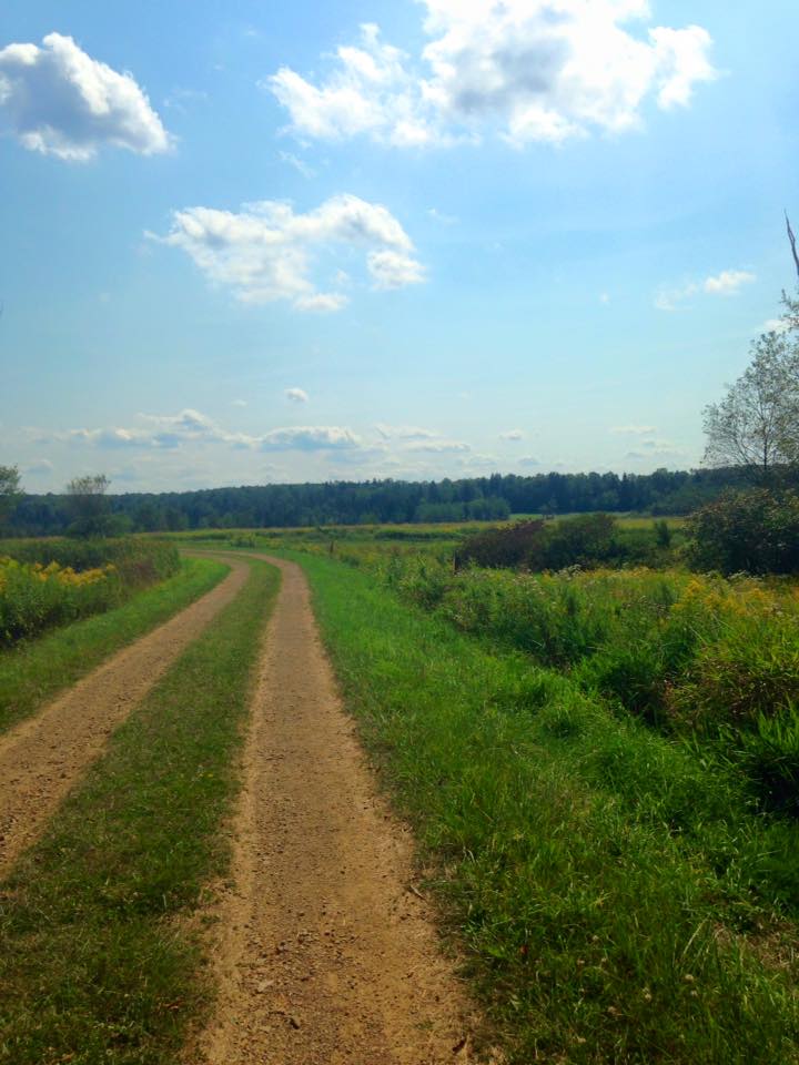 11781705_128225287523689_4707364459647781731_n