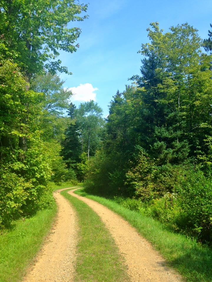 11891077_128225144190370_7669177997404073577_n