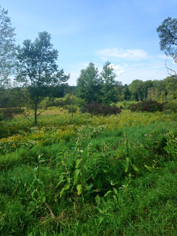 11896109_128225400857011_6723215267390726148_n