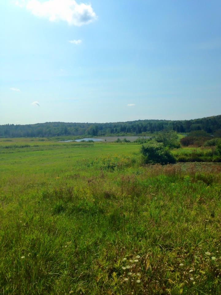 11896142_128225340857017_1795774376335368242_n