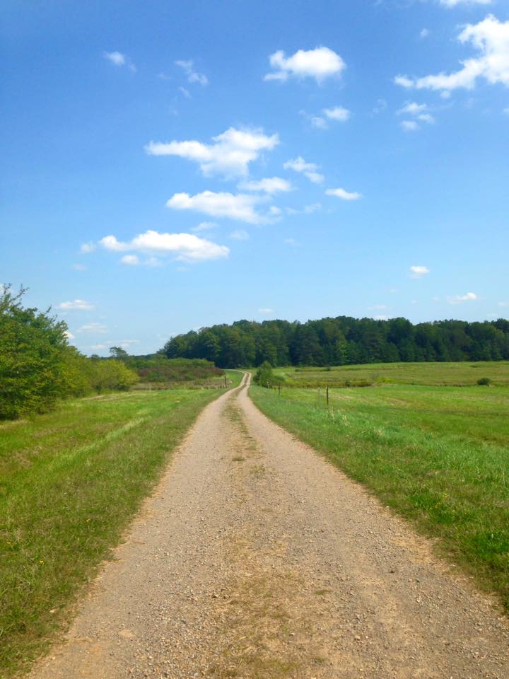 11903811_128225370857014_187847175964412912_n