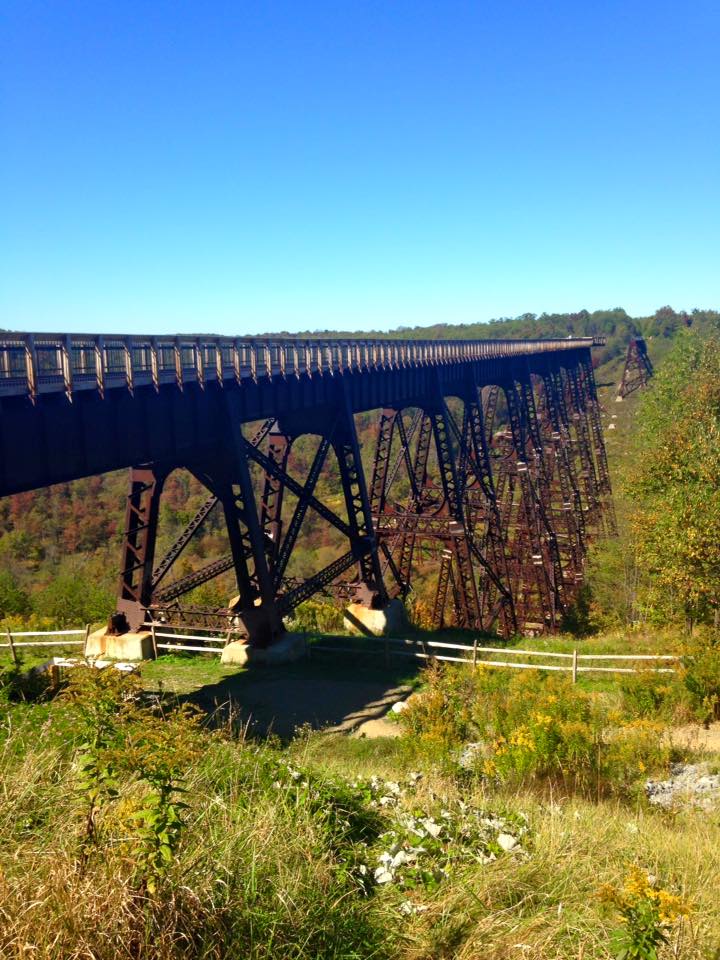 11953055_149404558739095_8702031142006672699_n