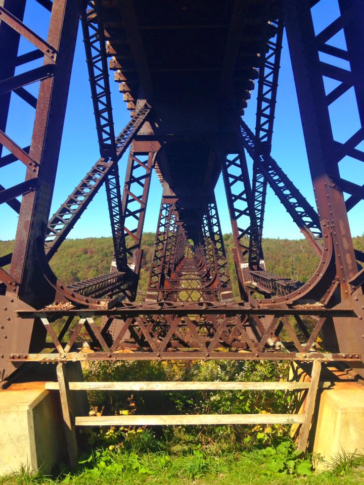 12002133_149403478739203_6247550812954874447_n