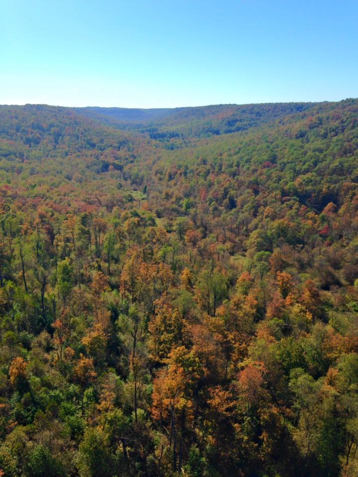 12002784_149404232072461_6125507773018335849_n