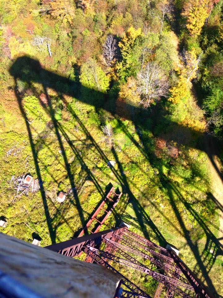 12039685_149404138739137_6905311300394218944_n