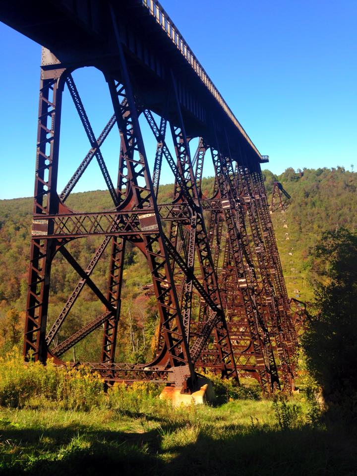 12043096_149402812072603_4356295267193957424_n