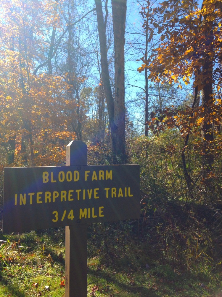 013d4bc41ef9c1b6de171b39e6dddb730097ecaae1