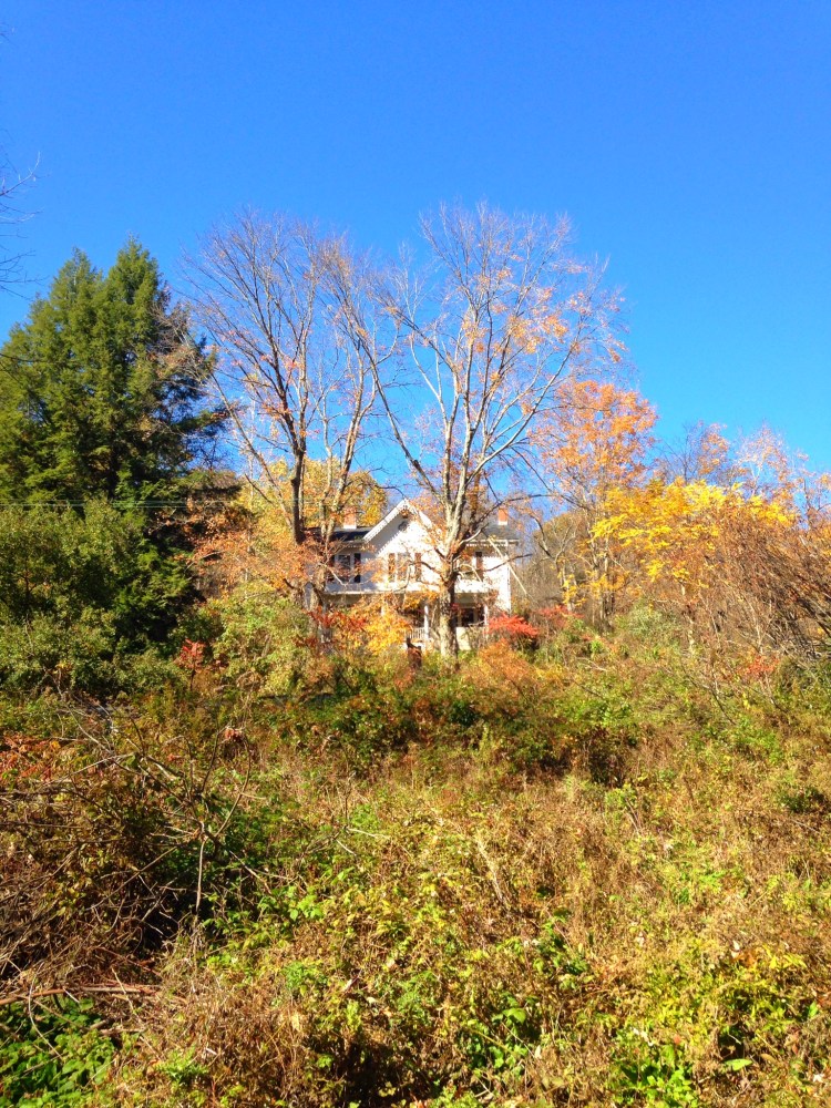 014211625a6db2c276f808fbdd14cf8a3900b38a68