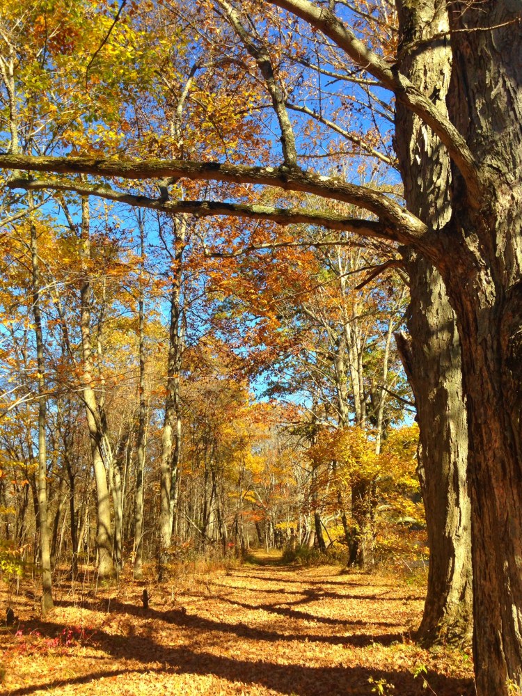 017fa04859ea4a41b1a00cb3af20d4842718a4ae85