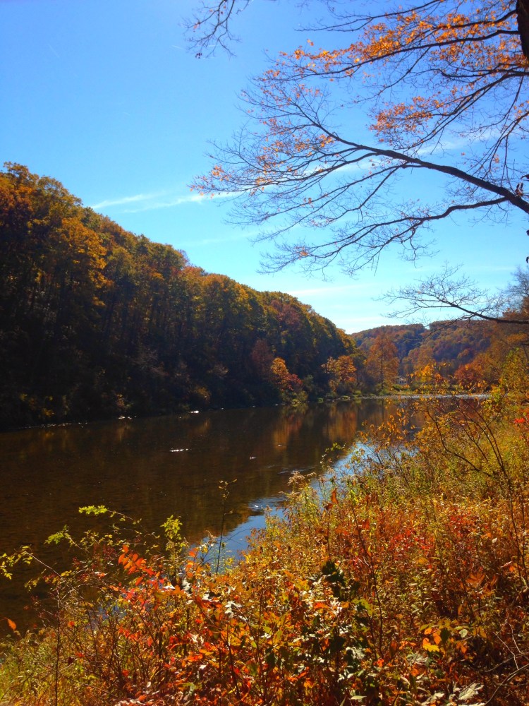 01822f4a5e3f3c390954589e587c24b03fe14e9106