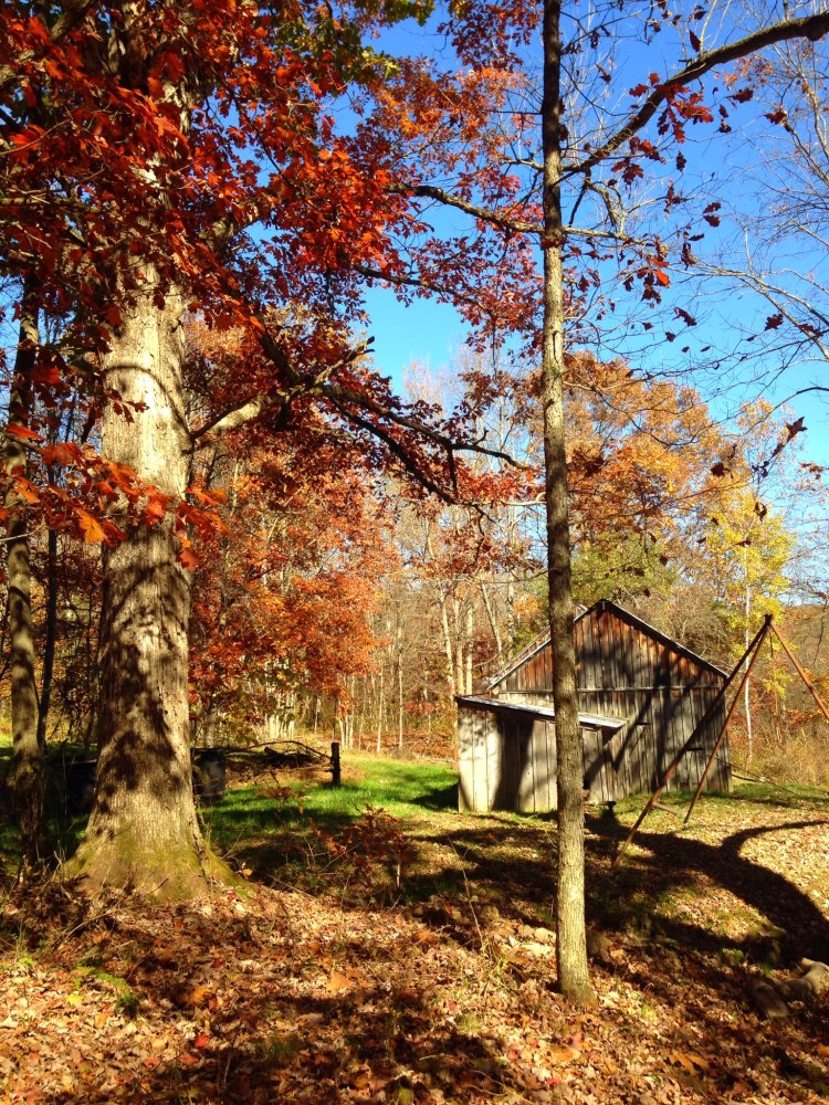 0197767c3880a6e621ca6268cba6bec2bb66848674