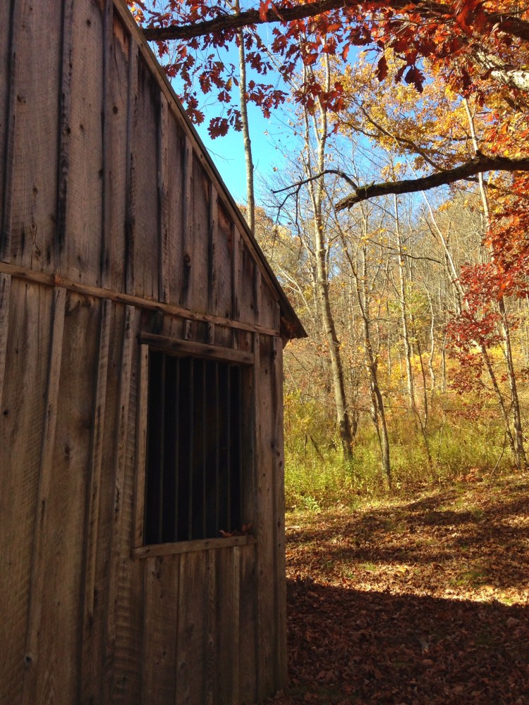 0198ffc0a2ab8850497a51ccb1dca332bff3a896db