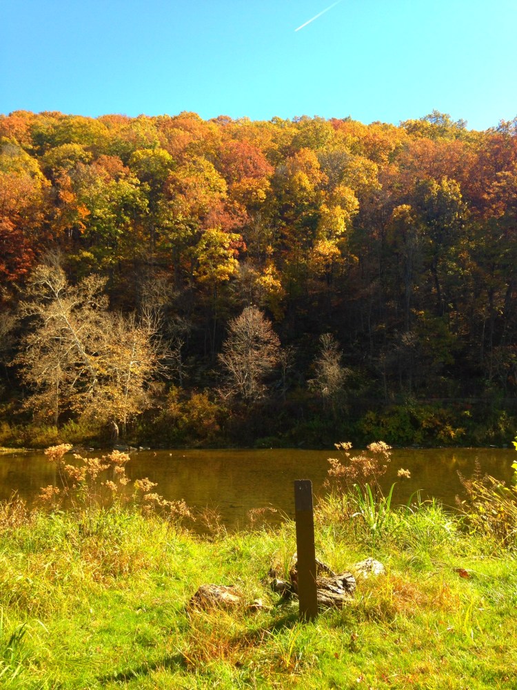 019bf55a37b1bcf82b3f3b6194f2af6bd10dc638e5