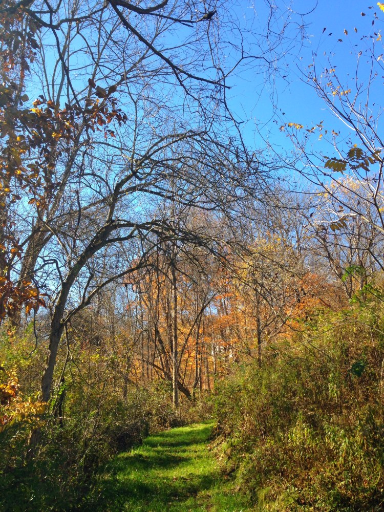 01b1e6820582bed255448074e413e4ac9b2e15a0d4