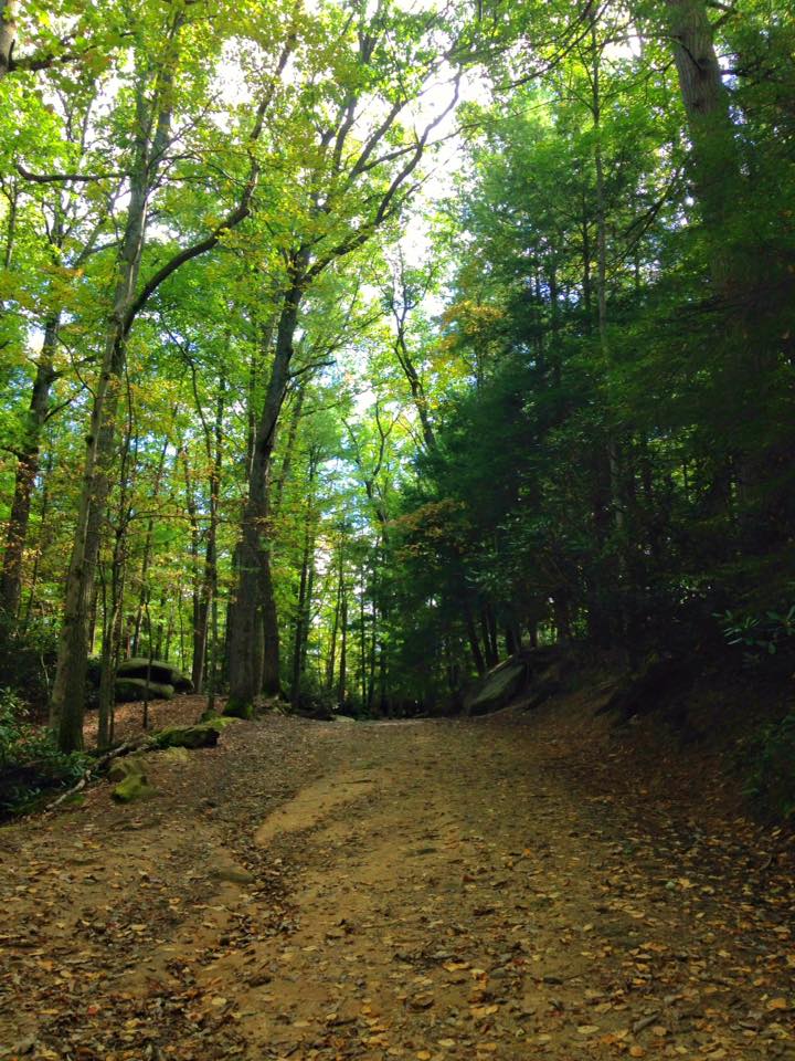 12043189_155003568179194_1895186782881159085_n