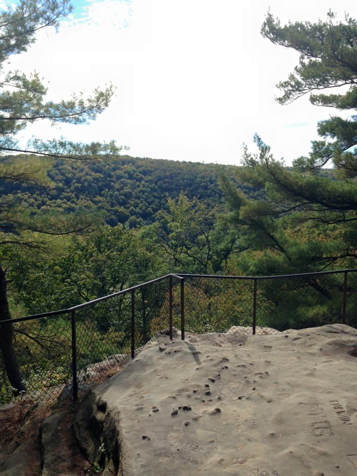 12074969_155003694845848_377408796663558970_n