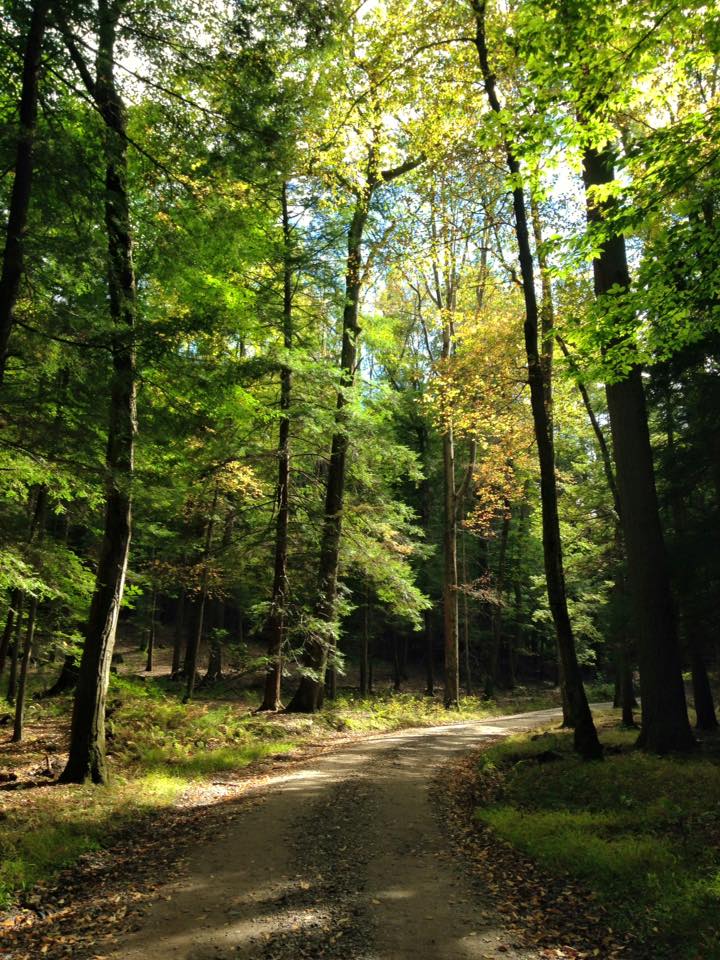 12075082_155003298179221_5664787119339222843_n