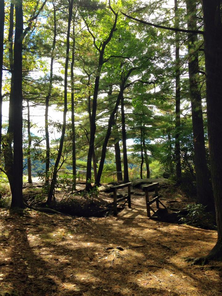 12079323_155003658179185_8236982454410951704_n