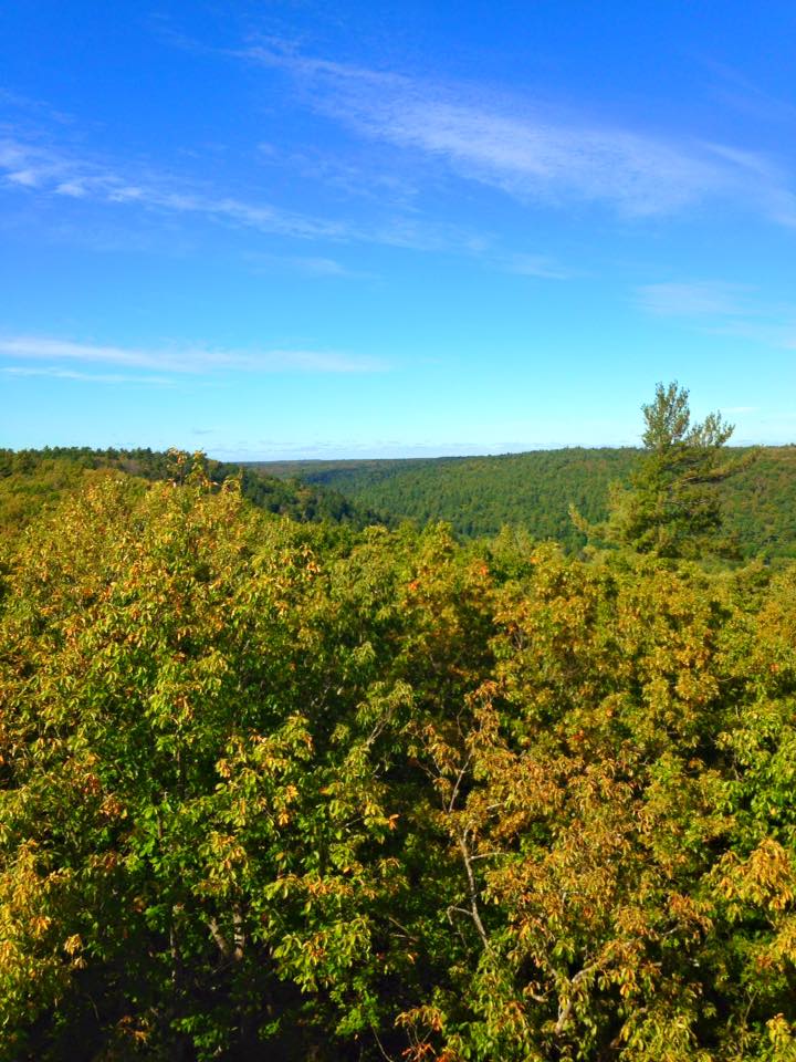 12096360_155003984845819_5007732435354884832_n