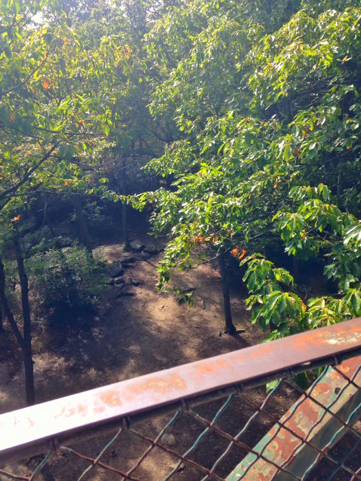 12096570_155003848179166_7512412391271197694_n