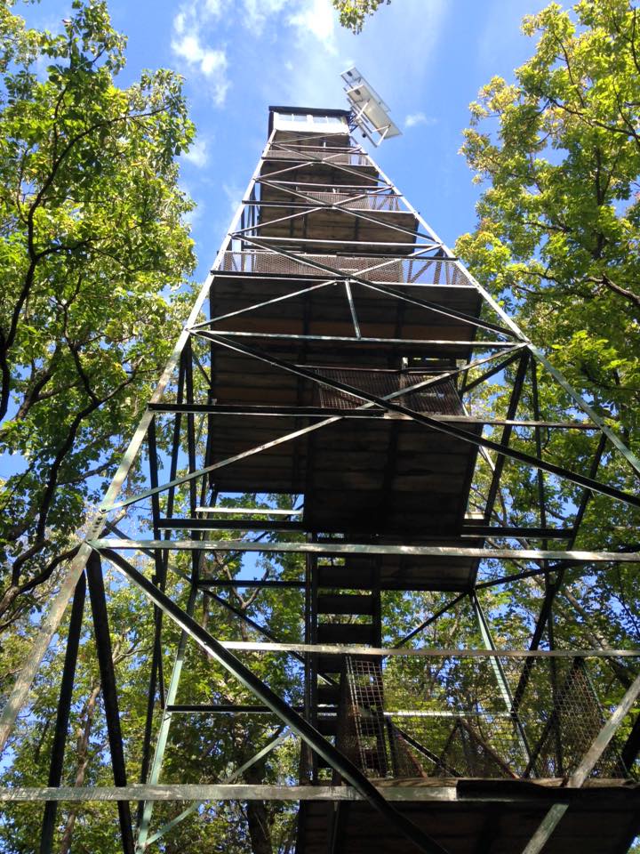 12107885_155004104845807_6190705464435116000_n