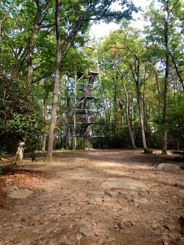 12112220_155003738179177_7510103168845576667_n