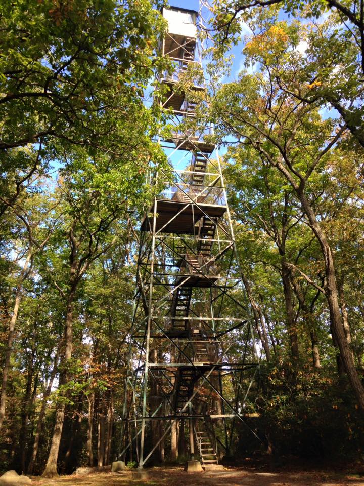 12115461_155003771512507_6818231634522353899_n