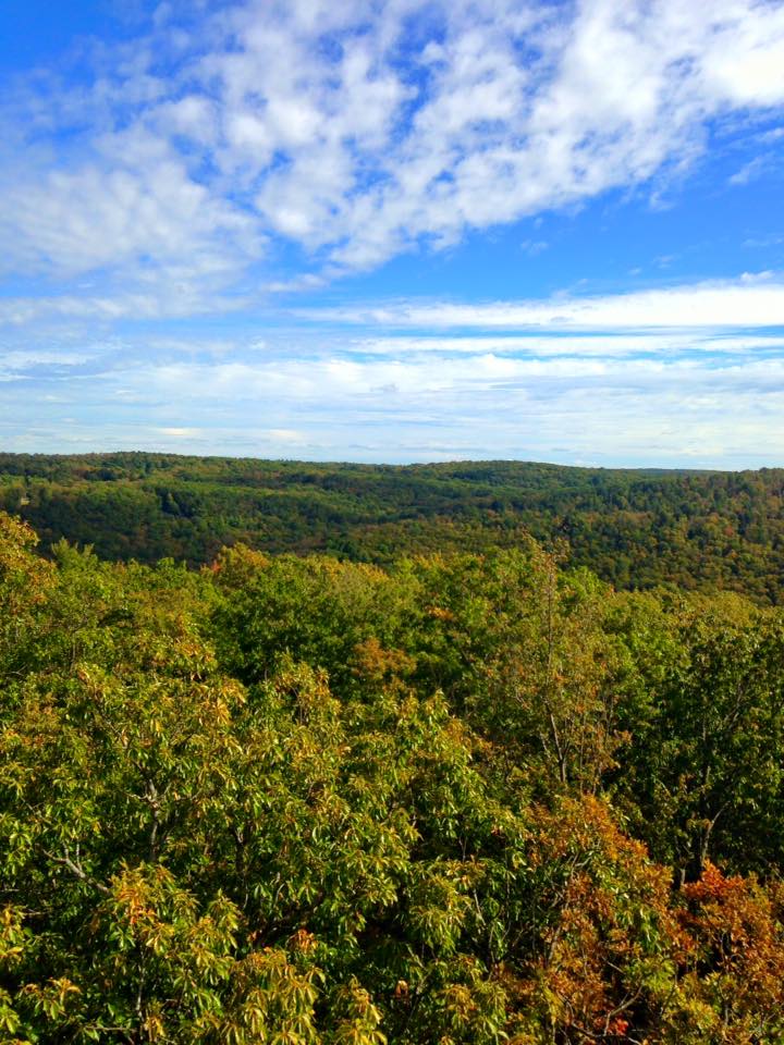 12119091_155003914845826_5225950379473850290_n