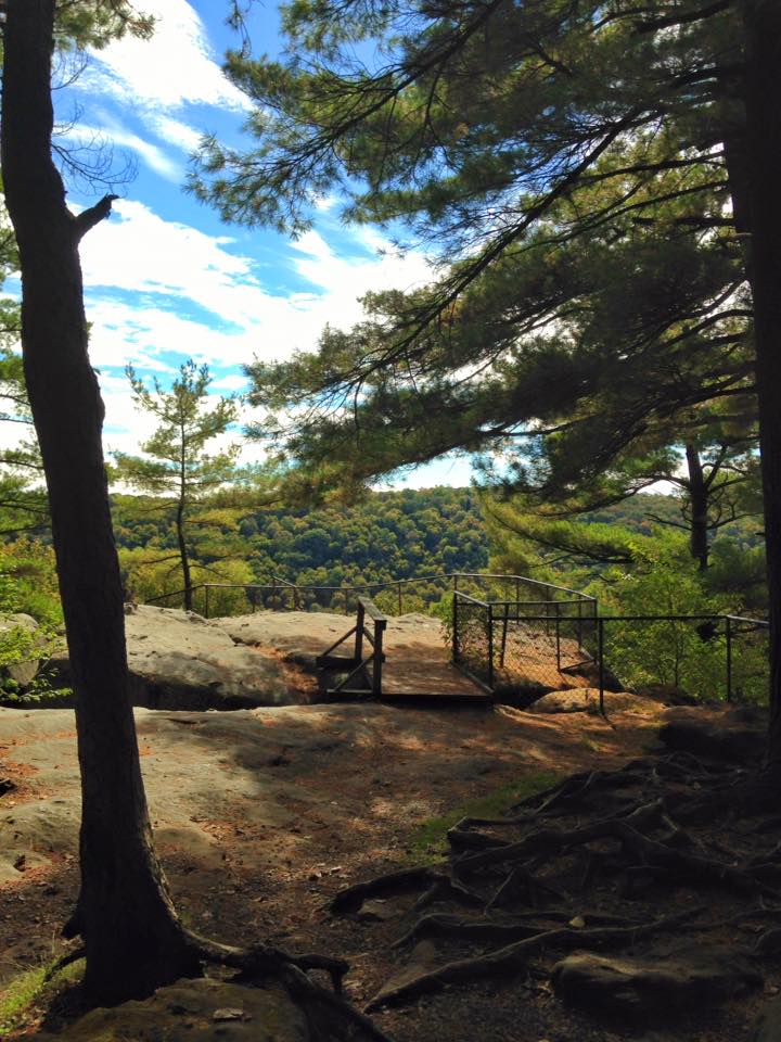 12119140_155003638179187_2620620458361147343_n