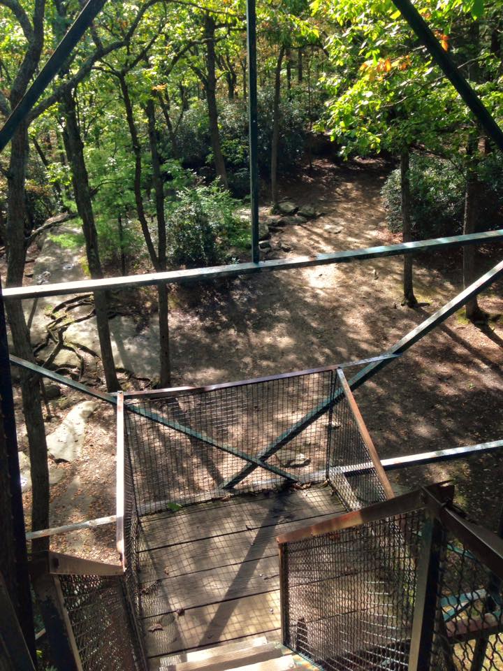 12122814_155003828179168_4329687509488696335_n