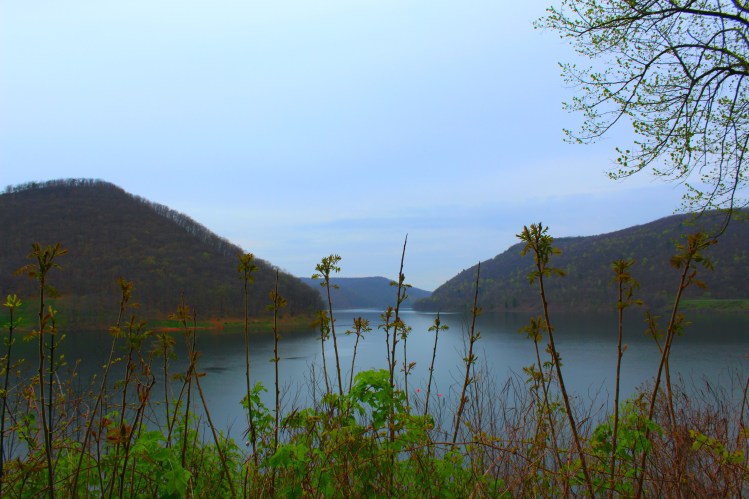 Allegheny Reservoir 12