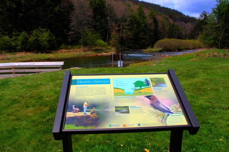 Bendigo State Park 10