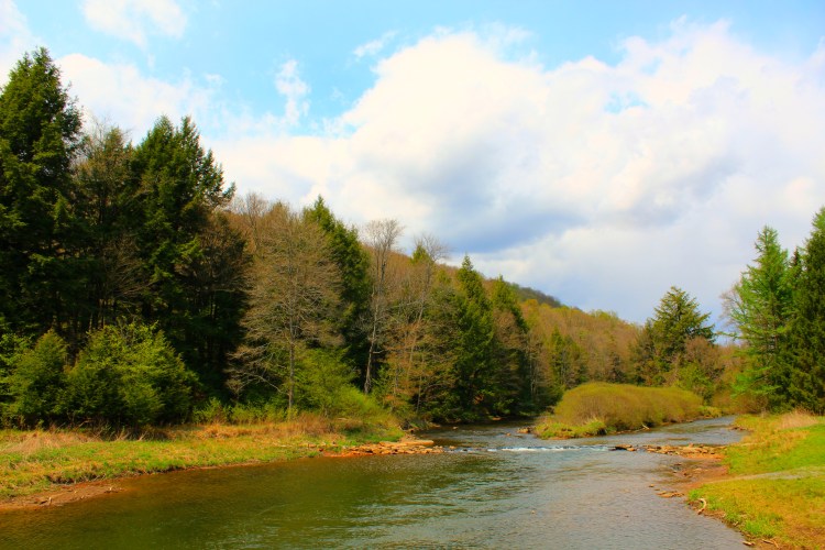 Bendigo State Park 3