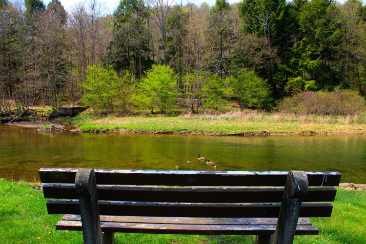 Bendigo State Park 4