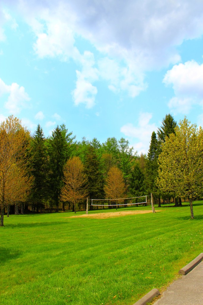 Bendigo State Park 7