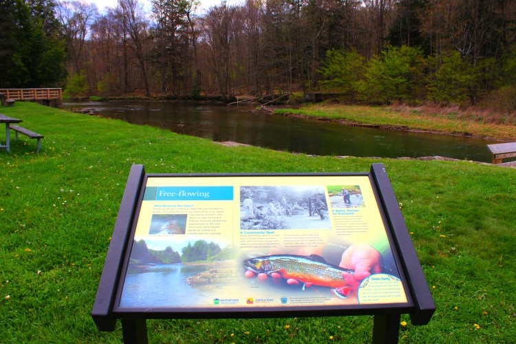 Bendigo State Park 8