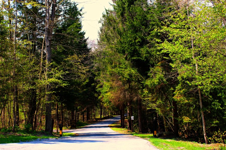 Bendigo State Park Entrance