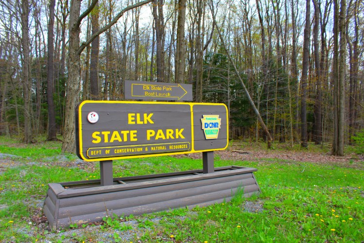 Elk State Park 2
